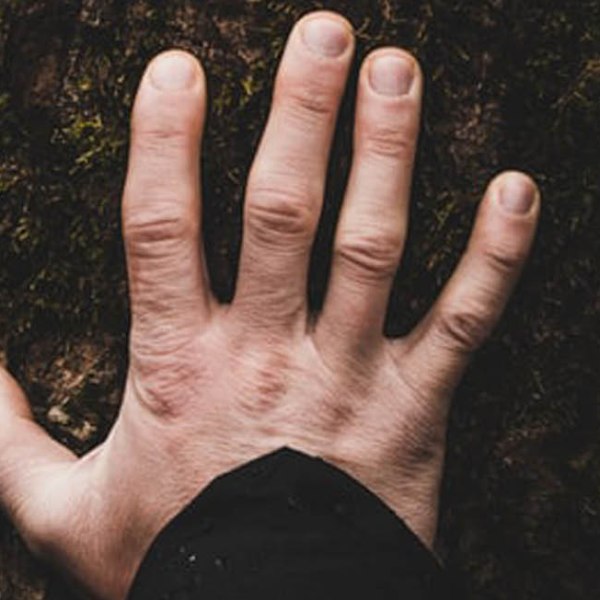 Le Parole del&nbsp;Cuore