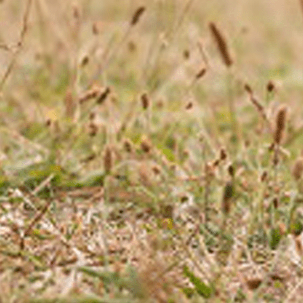 A Corpo Libero: “I Piedi, il contatto con la&nbsp;Terra”