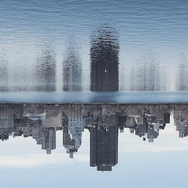 La legge dell’analogia