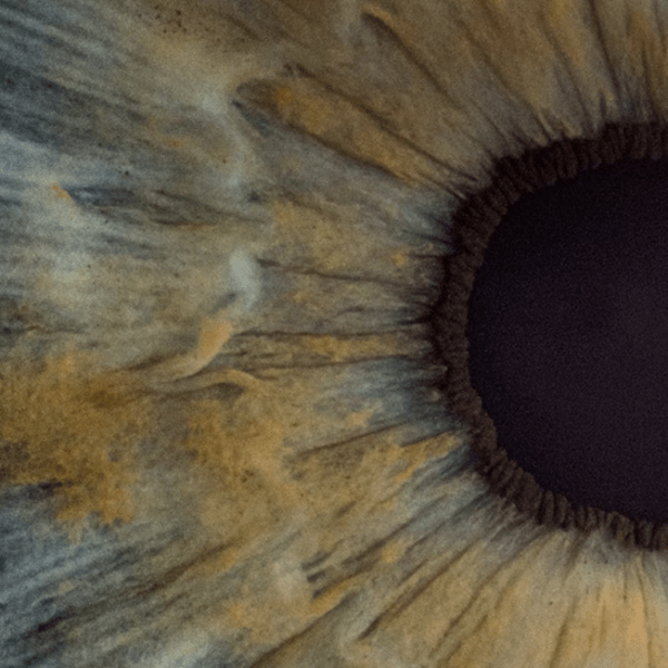 L’occhio di chi&nbsp;guarda