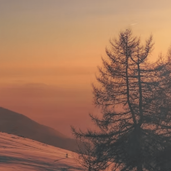 La Medicina del&nbsp;Silenzio