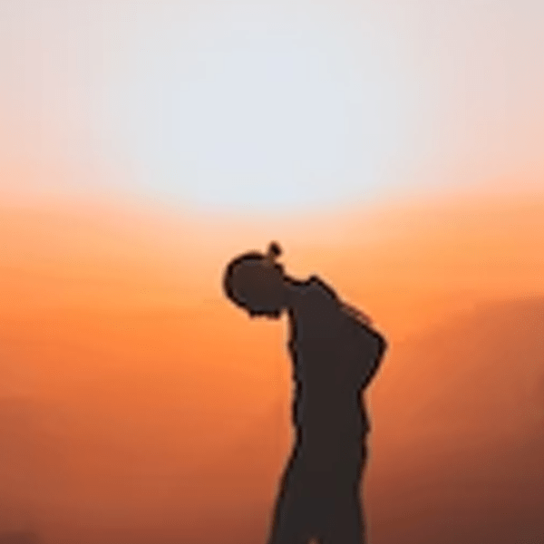 Il potere del&nbsp;fegato