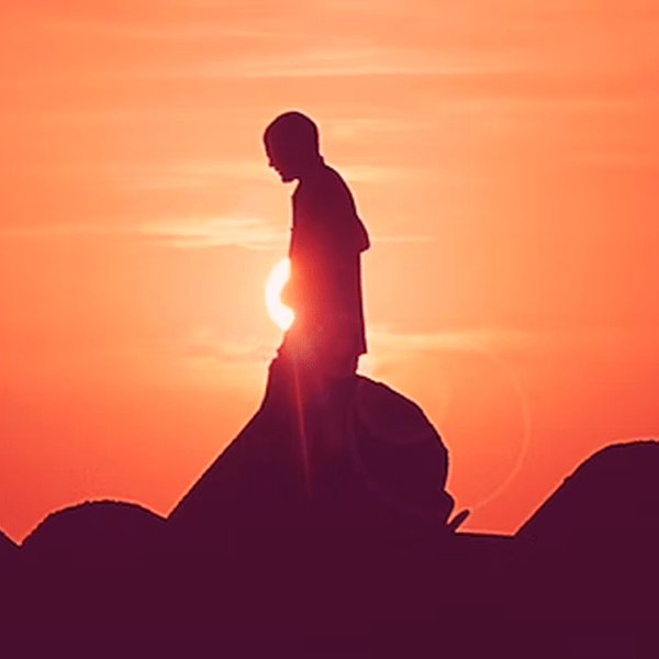 Il Cervello Enterico