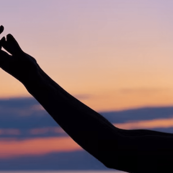 La Forza dei&nbsp;Reni