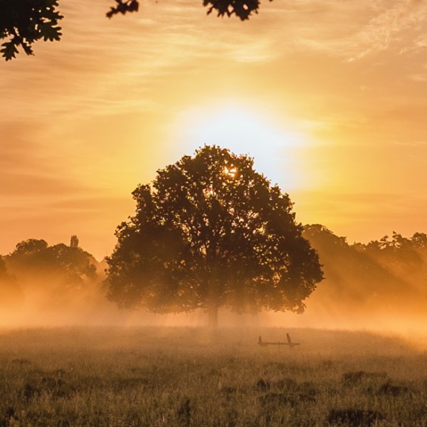 Ritornare alla Natura: la necessità di una spiritualità&nbsp;umana