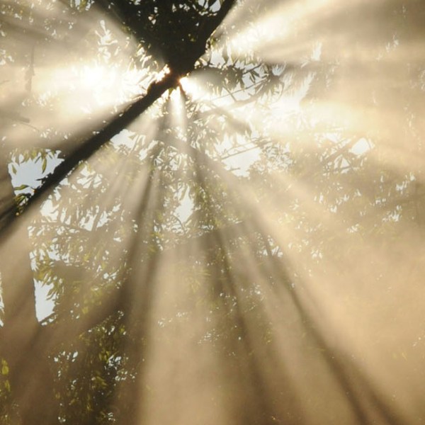 La Poesia illumina il&nbsp;Mondo